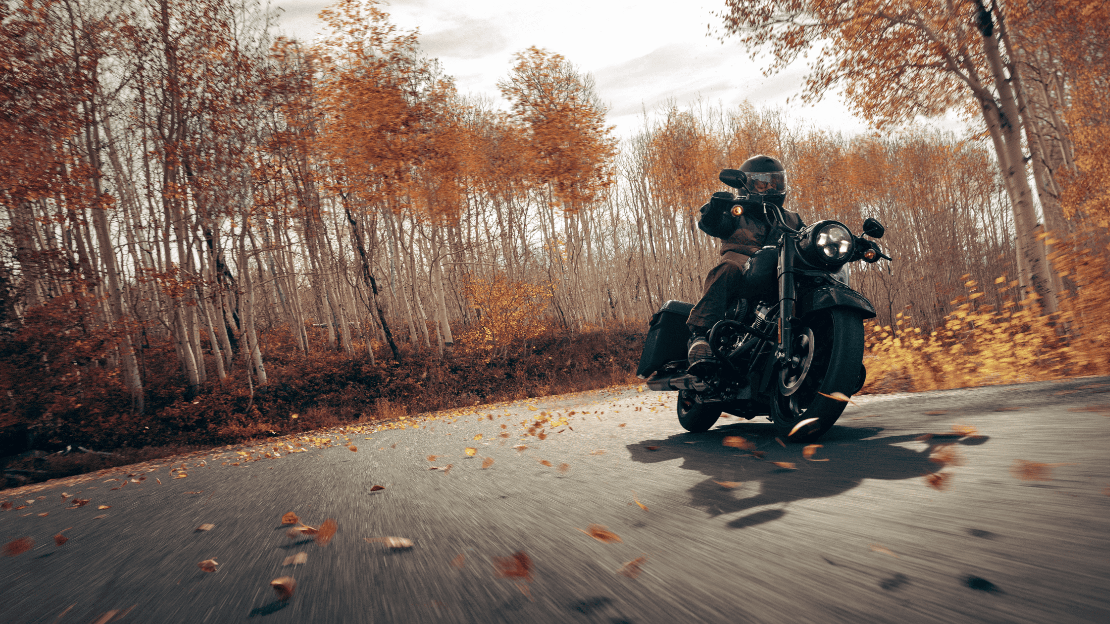 A man on a 2025 Harley-Davidson® Road King® Special rides through a colorful fall landscape near Friendswood, TX.