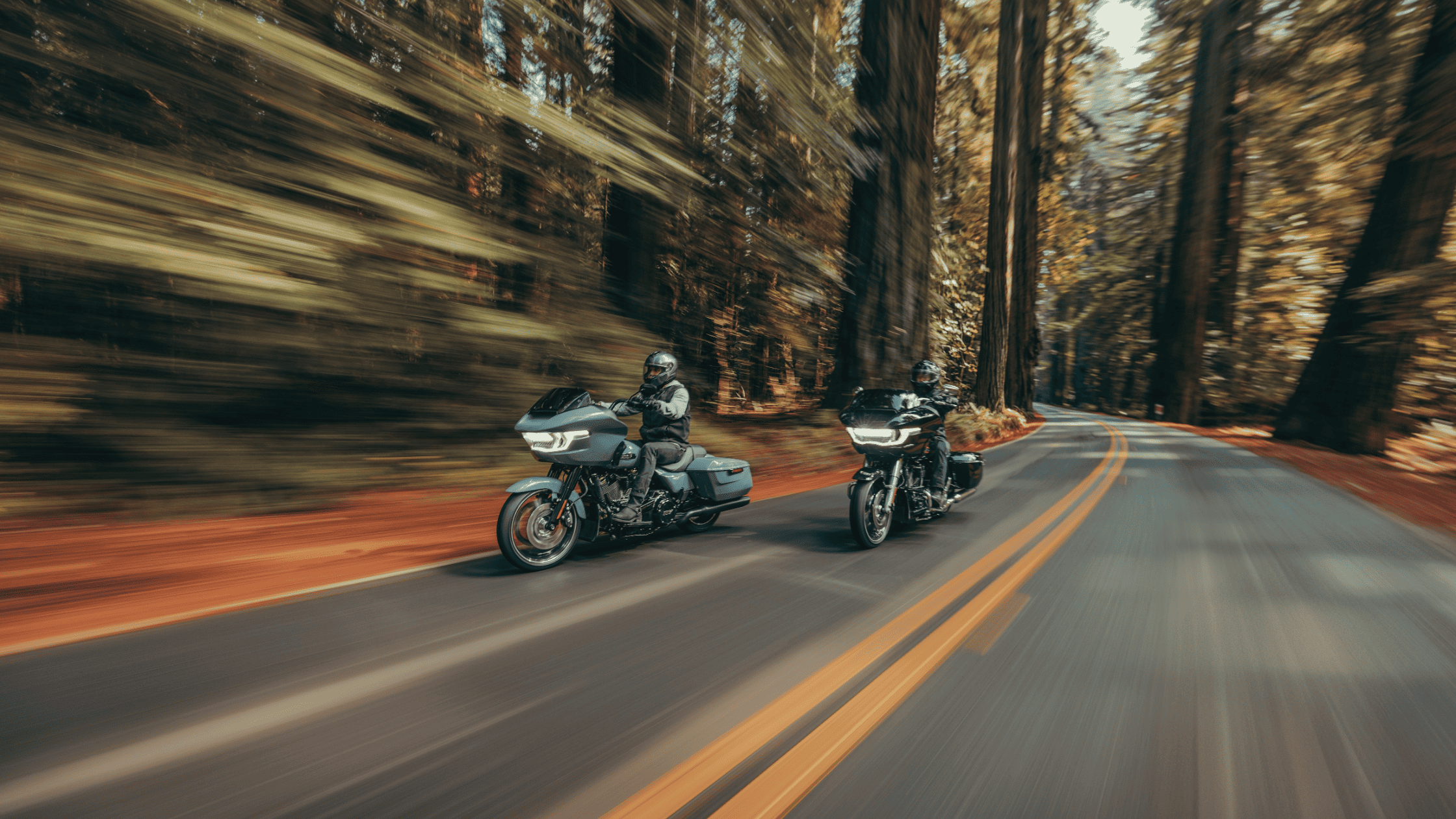 Two riders cruising through a scenic forest on the 2024 Harley-Davidson® Road Glide®, showcasing its sleek design, touring comfort, and powerful performance near League City, TX.